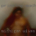 Michigan wives swapping