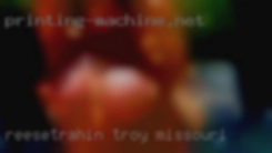 Reesetrahin Troy Missouri